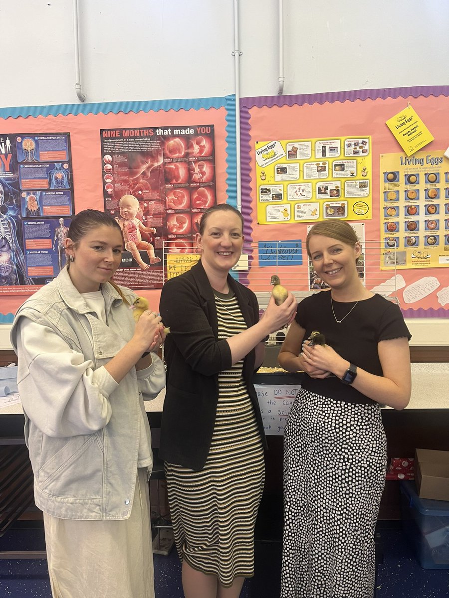 Mrs Dickson tweet media