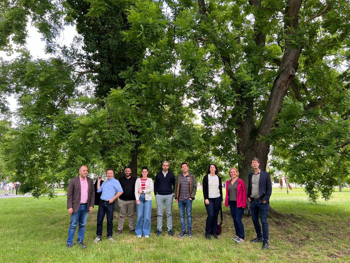 Showcasing Urban Trees for Environmental Education tweet media