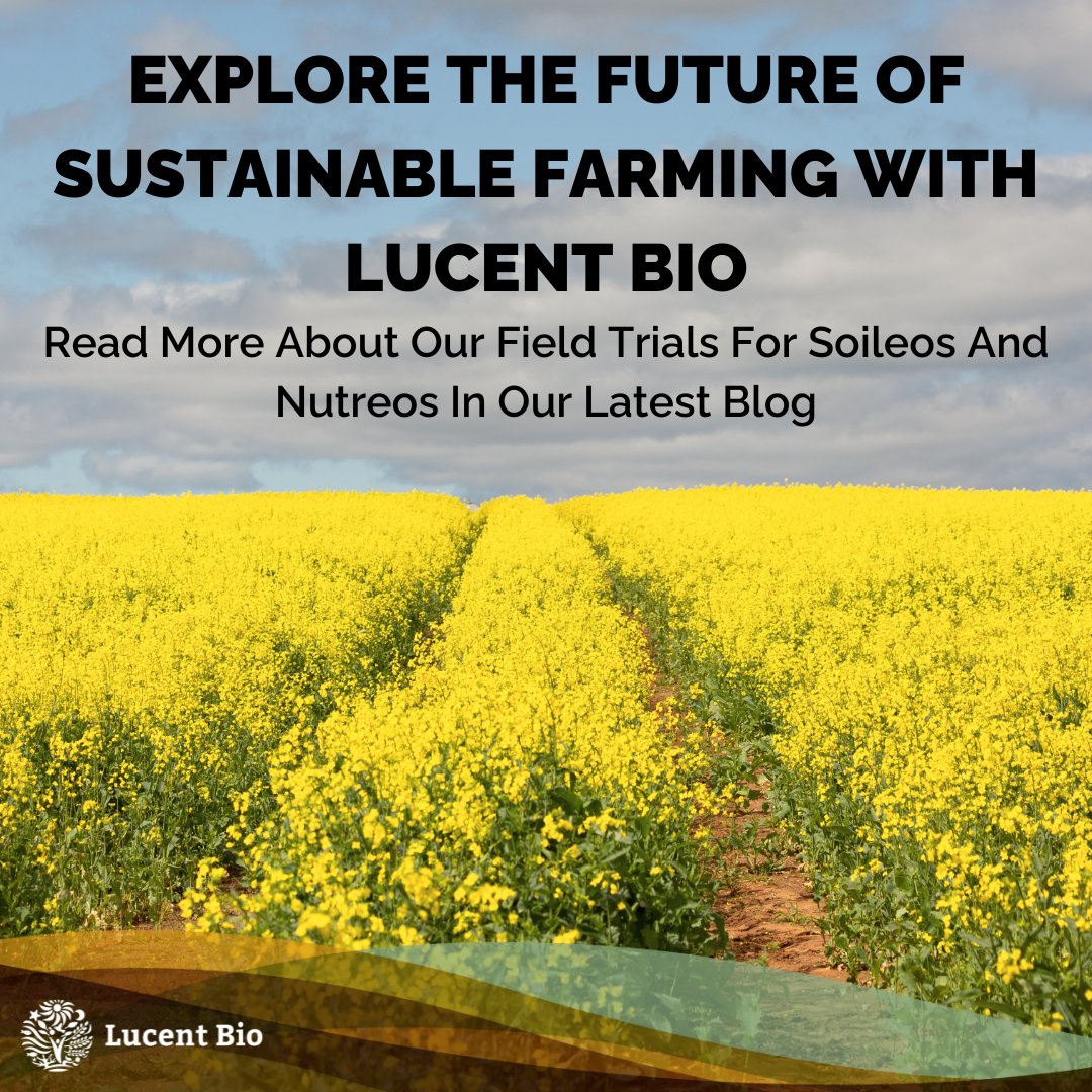 Dive into the world of sustainable agriculture with Lucent Bio! Explore our board featuring updates from our field trials for Soileos and Nutreos across North America. Read more in our latest blog: hubs.ly/Q02zvWyW0 #SustainableFarming #FieldTrials #LucentBio
