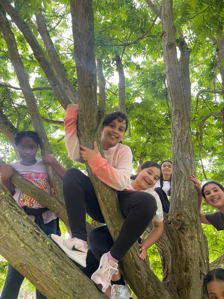 King Solomon Academy tweet media