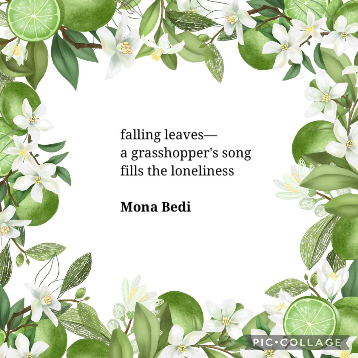 A pleasure to be in <a href="/SenryuJournal/">Failed Haiku</a> . Thanks <a href="/bcrickert/">Bryan Rickert</a>