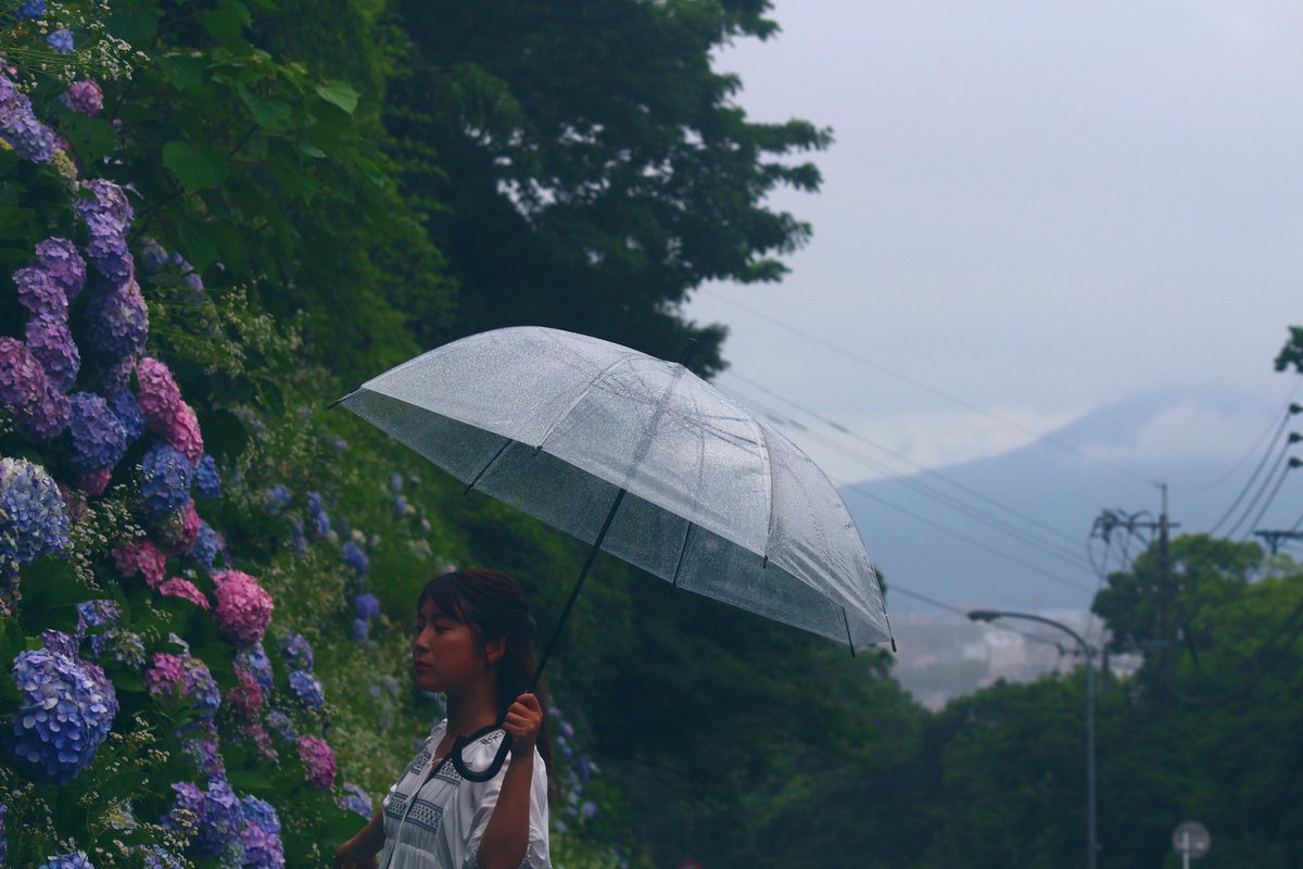 kadan_Kadan's tweet photo. 雨と紫陽花とともに

#ポートレート
#canon 
#NOBLE鹿児島 
#NOBLE撮影会 

モデル　智代さん
@mocototmyo https://t.co/n6D0RIMTP7