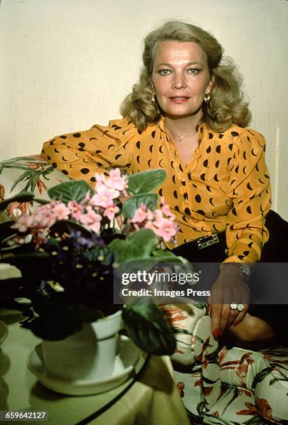 barbaravitali2's tweet photo. Happy Birthday to #GenaRowlands June 19,1930 #PeytonPlace #Gloria #AnotherWoman #JohnCassavetes https://t.co/xwmoGQBWmt