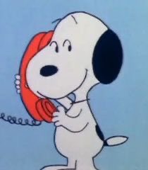 augusthalo's tweet photo. ring ring hello @NiallOfficial ! i’m just calling to remind you to play never grow up tonight !! https://t.co/iixApeOlsl