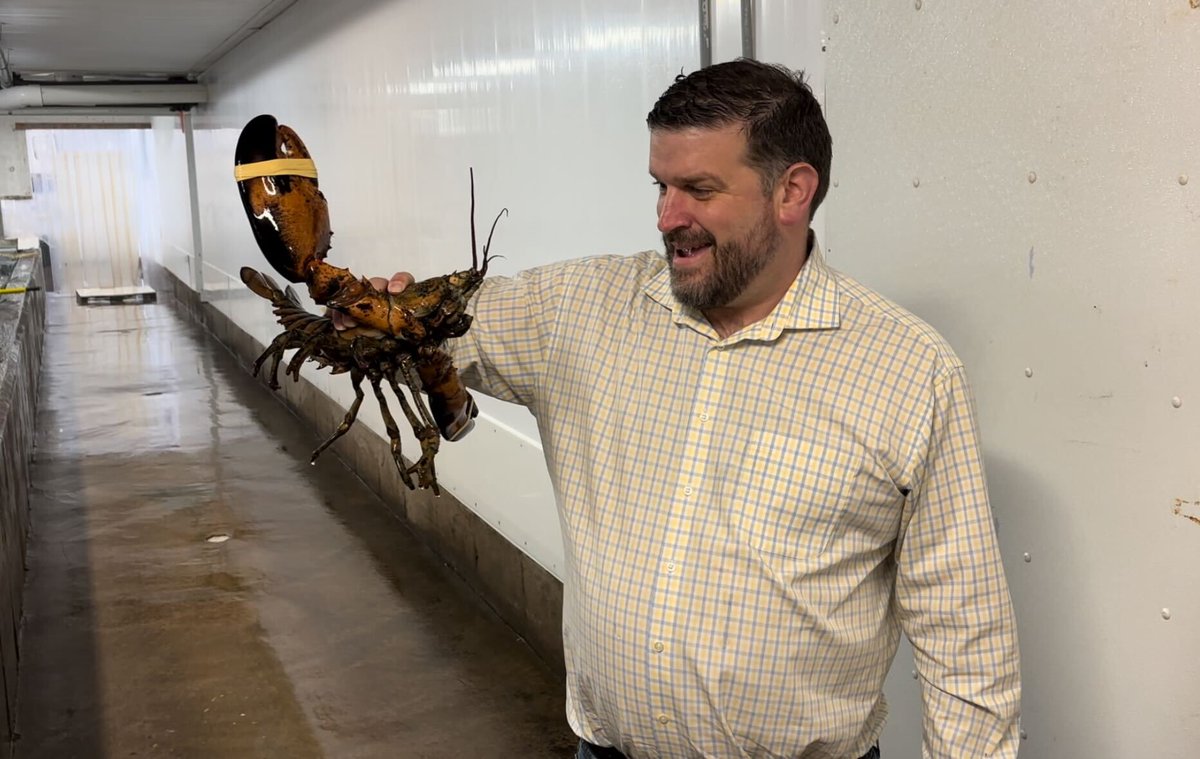 Enterprise tweet media