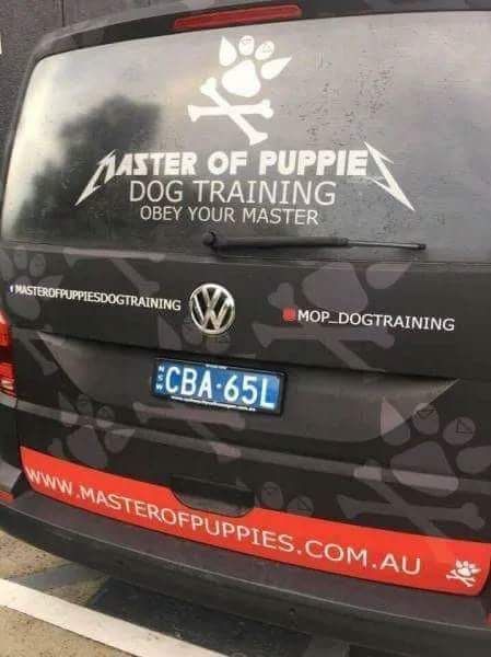 PlaidOnFlannel's tweet image. Dog training done right 🤘🐶