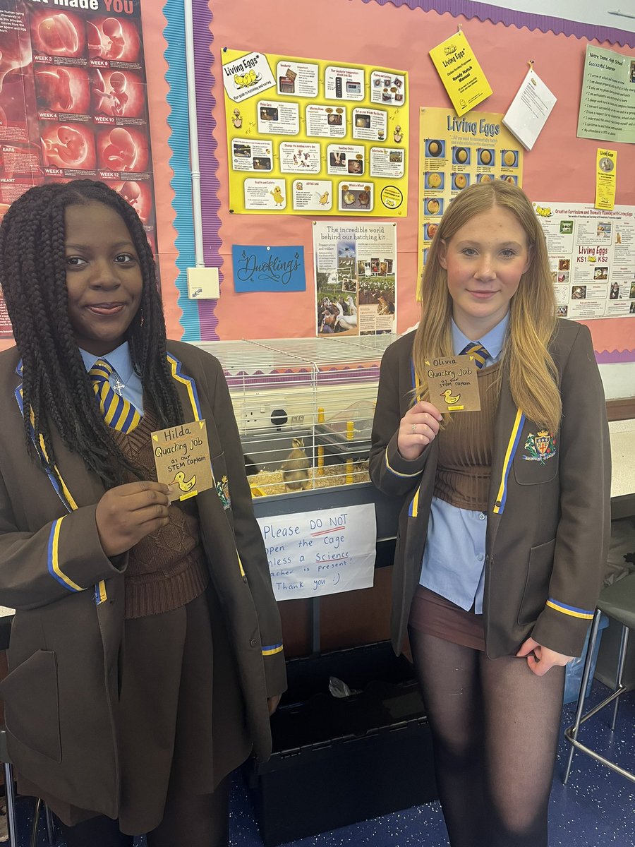 Olivia and Hilda receiving their STEM Captain badges this afternoon. These two have went above and beyond to lead our duckling programme, every interval and lunch 🦆#leadership