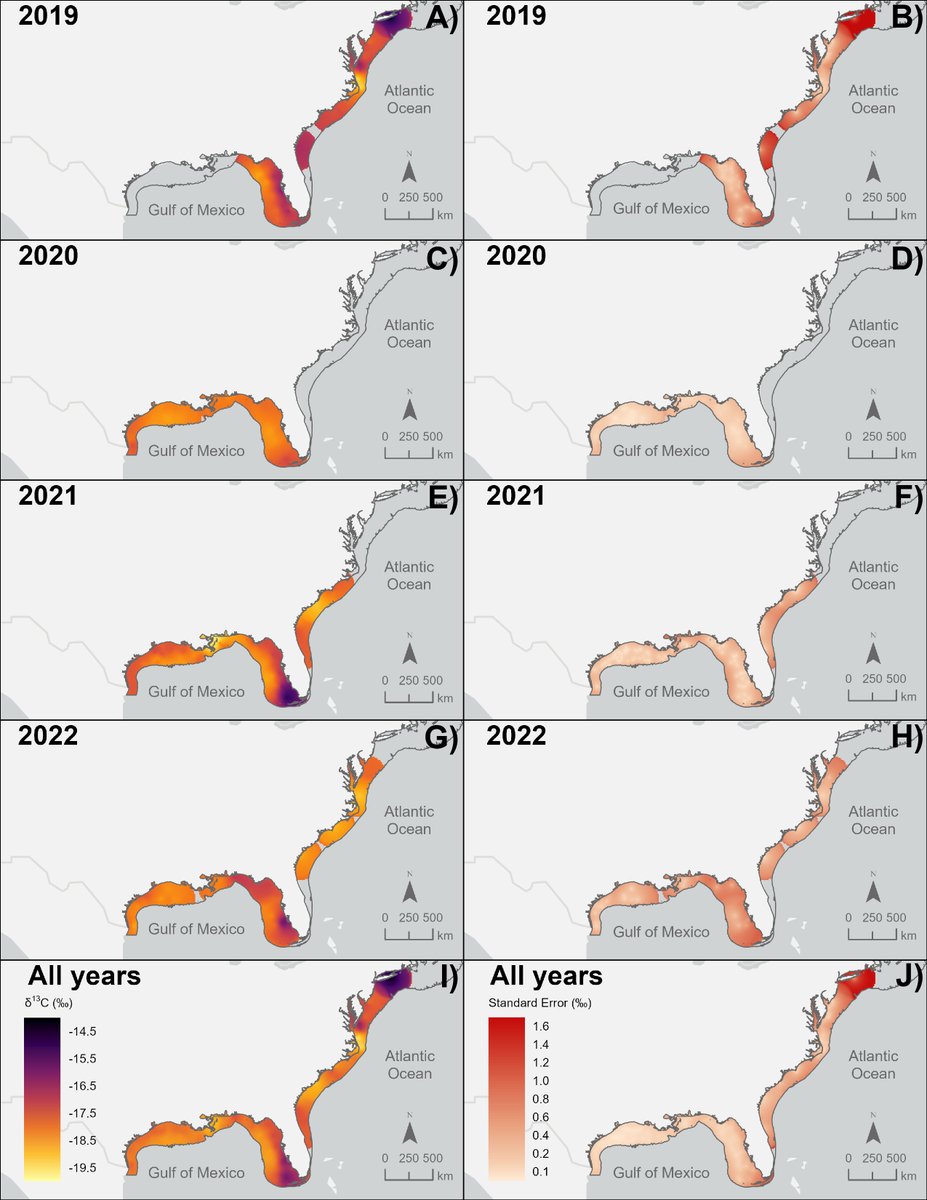 Our new paper in Marine Biology describes multi-year Lizardfish #isoscapes for the continental US. Lots to be done with this, including #predator assignment models w/ <a href="/lucaspgriffin/">Lucas Griffin</a> <a href="/sci_angler/">Jake Brownscombe</a>  

tinyurl.com/yc3wwhnp

#stableisotopes #biogeochemistry #movement