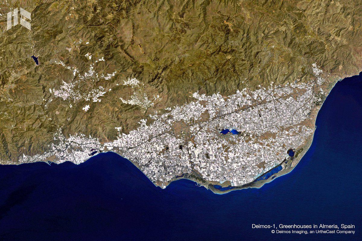 j_keeys's tweet photo. At #IFAMA2024 in Spain 🇪🇸 
Fun fact from day one: 

You may have heard the Great Wall of China is the only visible man-made object from space...

Actually, you can also see the greenhouses of Almeria, one of the most efficient food producing regions in the world ! 🌎
@IFAMAIntl https://t.co/NuHugtFGvZ