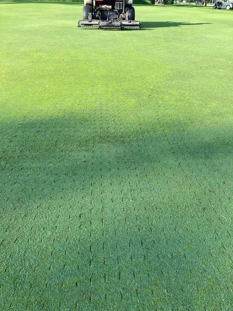 Quick spike, mow and roll on the greens after the added inputs during the City Tournament.