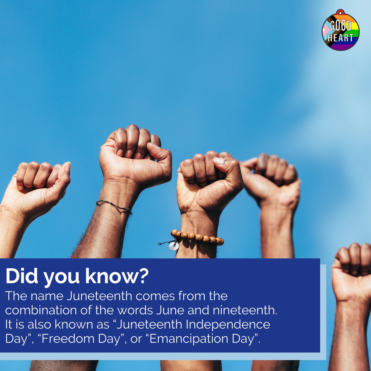 GoodheartVet tweet media