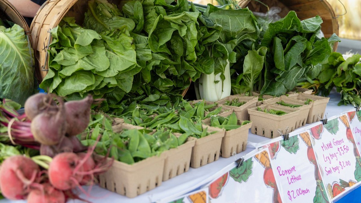 TOA is partnering w/ <a href="/CCareDurham/">Community Care Durham</a> &amp; <a href="/durhamcollege/">Durham College</a> on a mobile food market at the ACC on Wednesdays until Oct. 9 from 11:30 a.m. - 2 p.m.!
 
<a href="/CCareDurham/">Community Care Durham</a> is selling produce from the College's Barrett Centre w/ proceeds going to CCD's food programs👏
 
➡️ communitycaredurham.on.ca/mobile-food-ma…