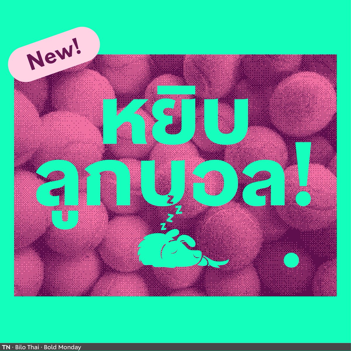 Type Network tweet media