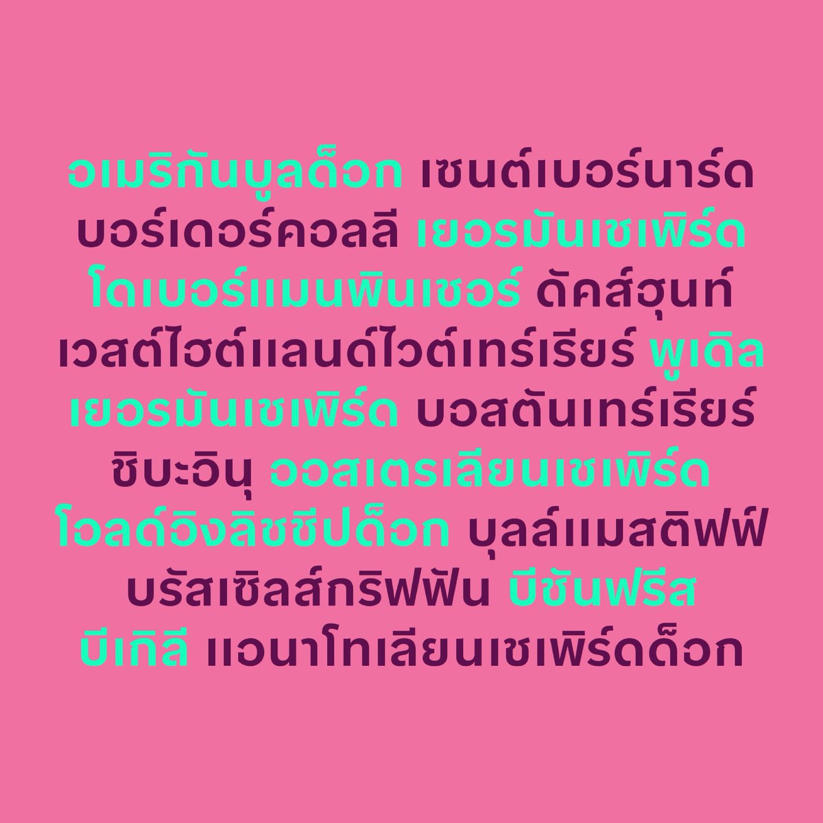 Type Network tweet media