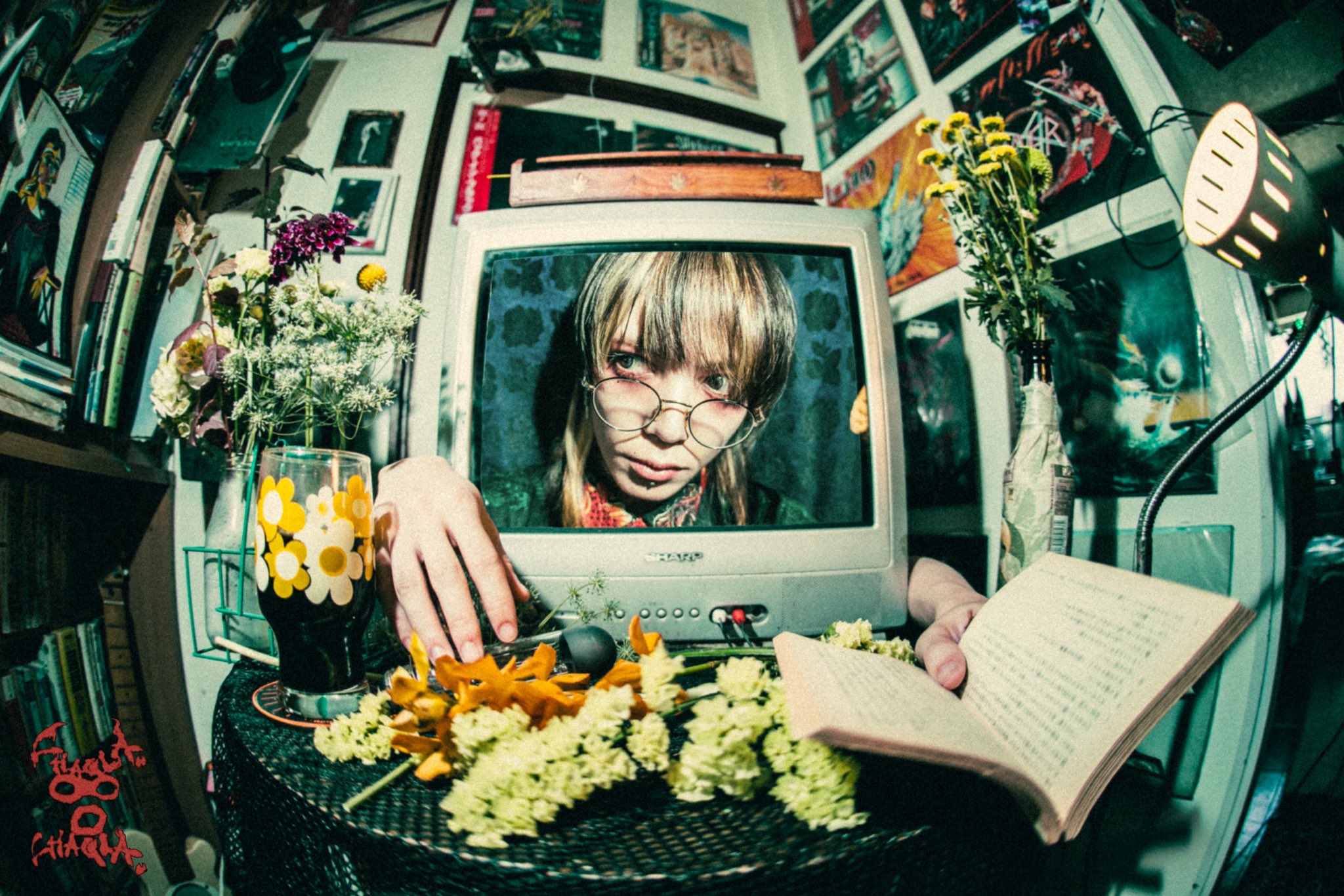 CHAQLA. 鷹乃助 チェキ CHAQLA. on X: 