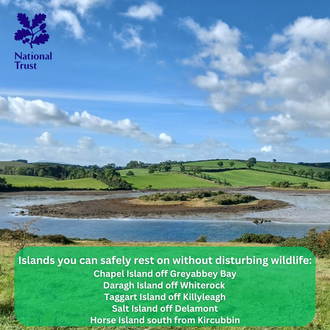 NT Strangford Lough tweet media