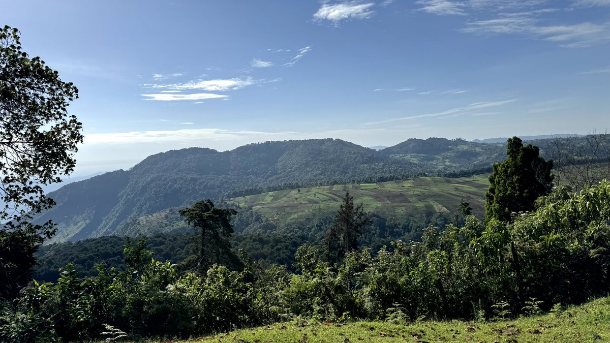 EastAfricanSC's tweet image. Beautiful landscapes in Eldoret 📸😍
.
#eastafricansafariclassic #miniclassic #twendeclassic #homeofchampions #eldoret #kenya