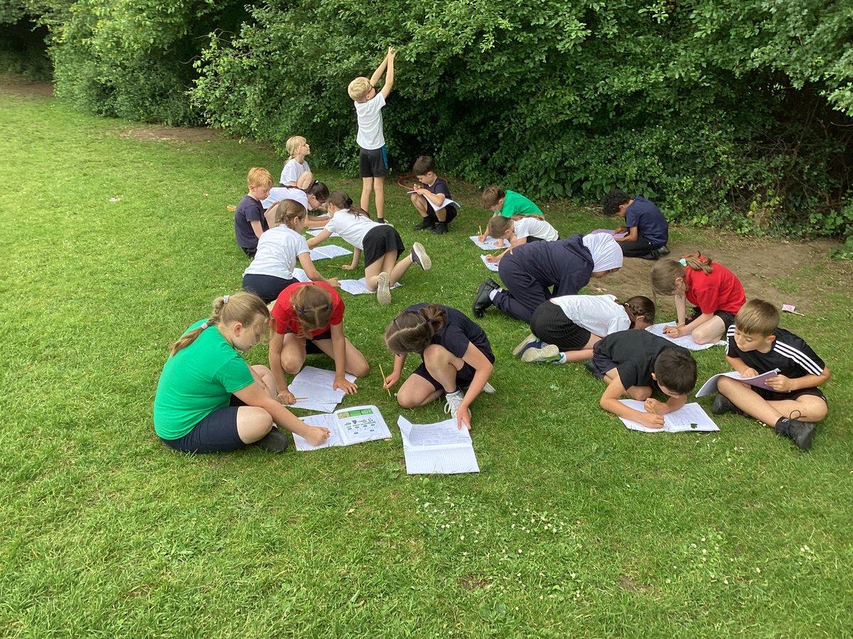 OWPSnightingale's tweet photo. We loved taking our Science lesson outside this afternoon. We used classification keys to identify trees on our field. #OWPSScience https://t.co/rSf2YU8UYQ