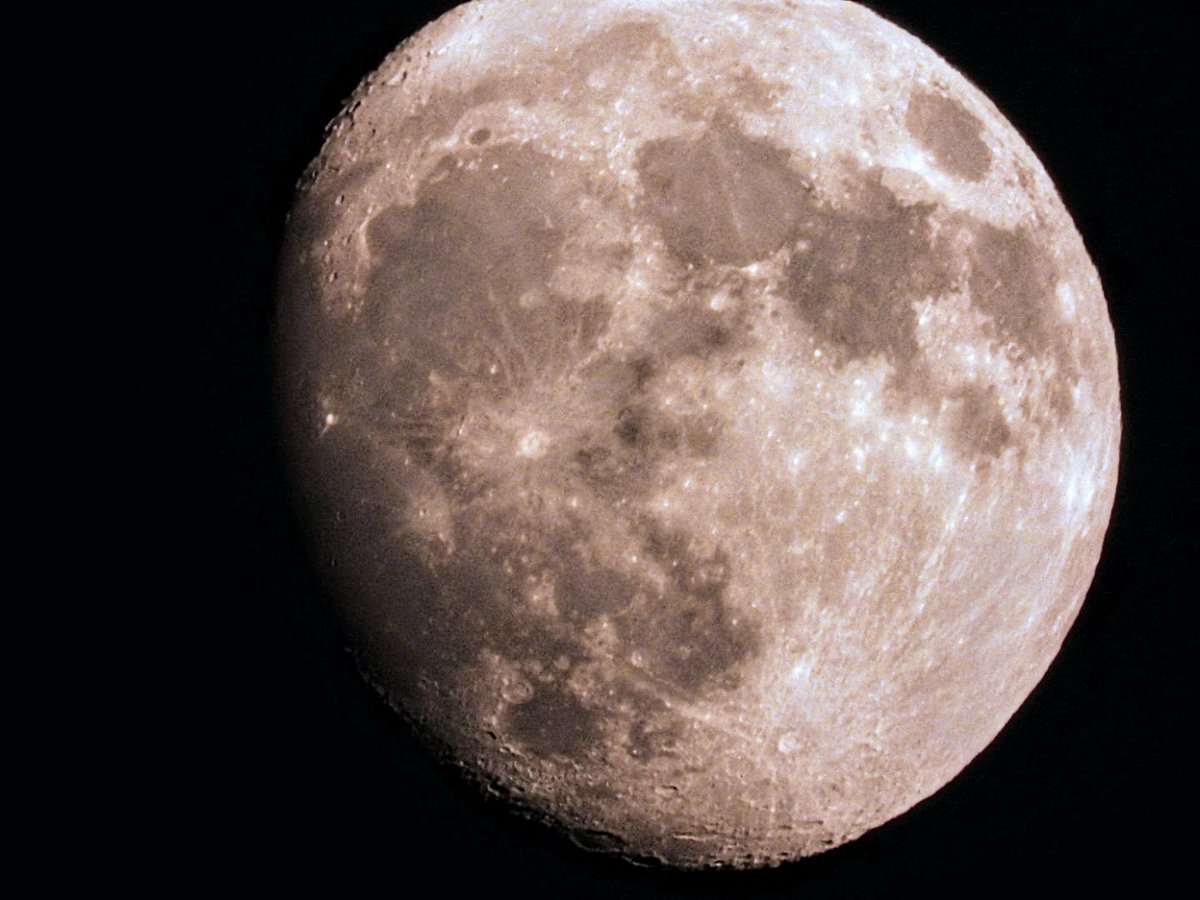 MockTurtlePower's tweet image. Last night