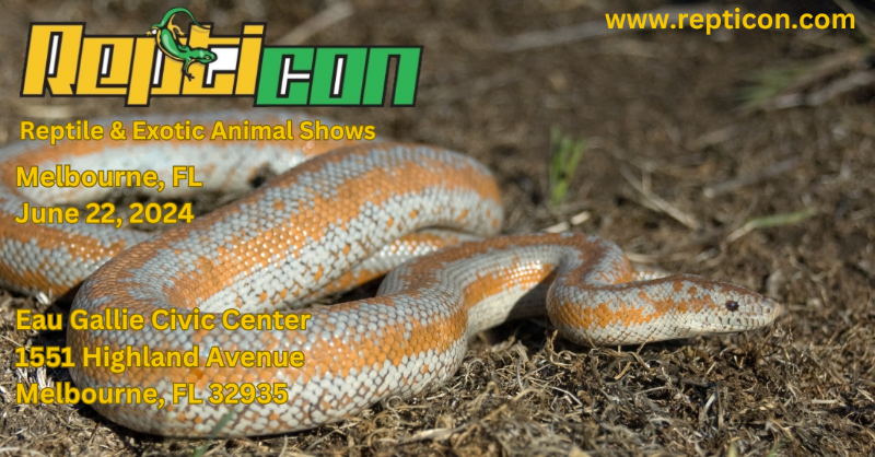 Repticon's tweet photo. Reptiday Melbourne is back this Saturday! https://t.co/HOVhMxe9od