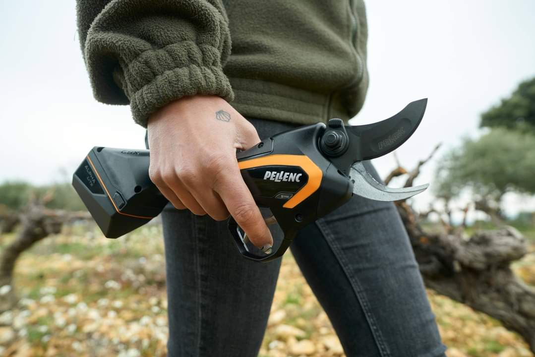 MILLEVIGNE (@millevigne) on Twitter photo 🔸News dalle aziende🔸
#PellencItalia lancia sul mercato la nuova forbice professionale a batteria on-board C3X. Scoprite le sue prestazioni ➡ shorturl.at/kWUfL 🔸News dalle aziende🔸
#PellencItalia lancia sul mercato la nuova forbice professionale a batteria on-board C3X. Scoprite le sue prestazioni ➡ shorturl.at/kWUfL