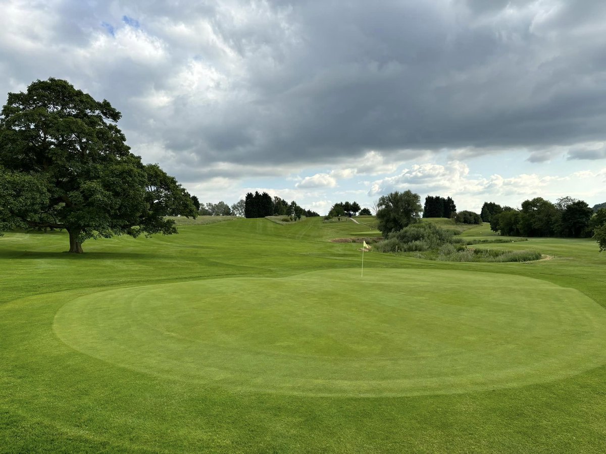 Picture perfect ⛳️☀️📸👌

#toftgolfclub #summergolf #greenkeeping #coursecondition #mint #view