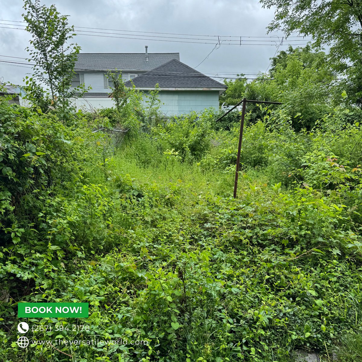 Versatile_mrs's tweet image. Tamed the backyard wilderness and it feels amazing!  Dreading your overgrown space? Get a FREE quote for brush removal &amp;amp; say goodbye to the weeds! 
🌐theversatileworld.com/book-online
📞(267) 394-2178

#brushandshrubremoval #Backyardcleanup #junkremoval #yardcleanup
