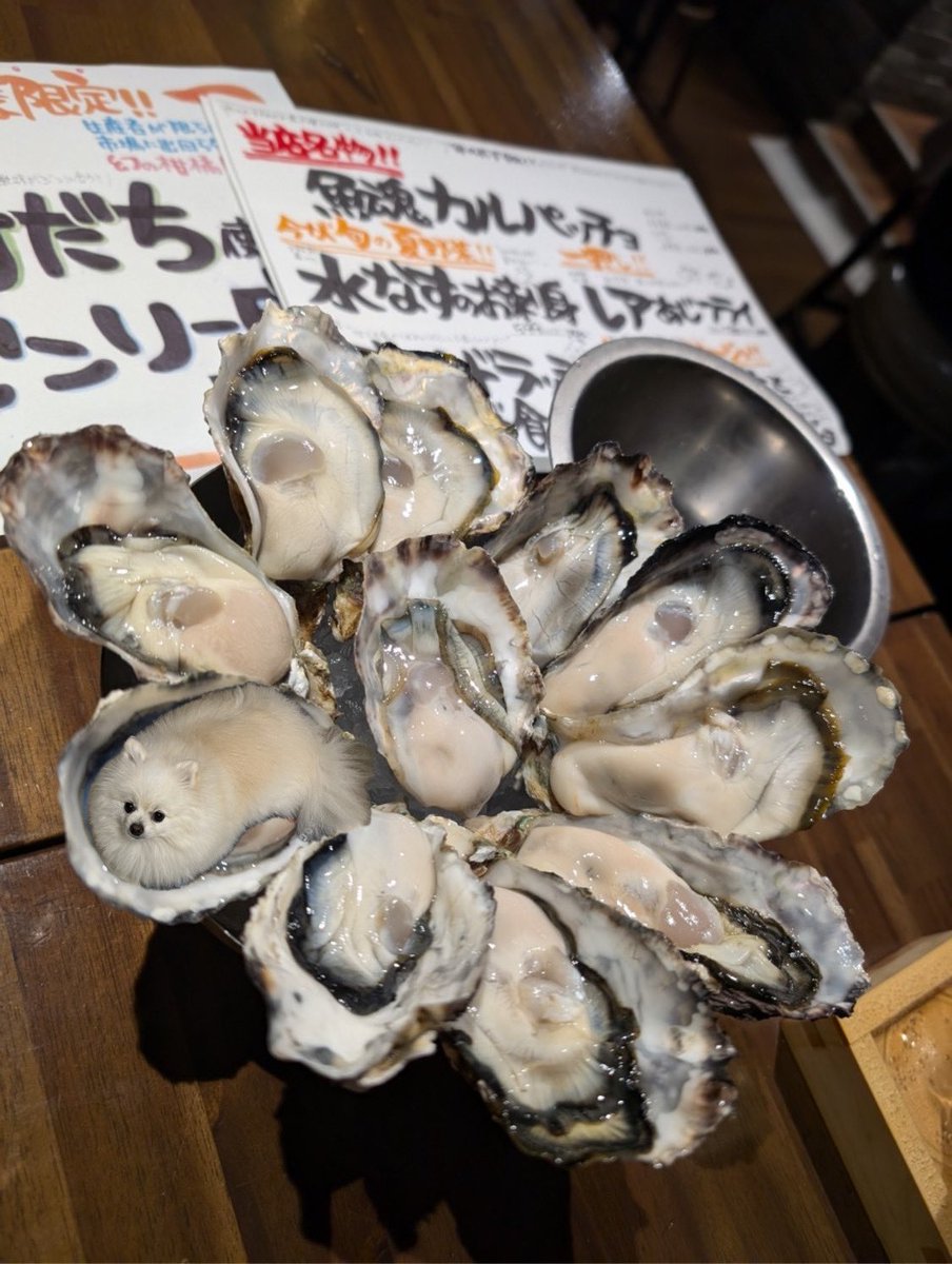 pome_o_Kabu's tweet photo. 君は気付けるか、この擬態に。 https://t.co/9alzKg2zpy