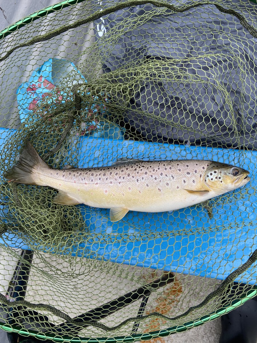 Venture North tweet media