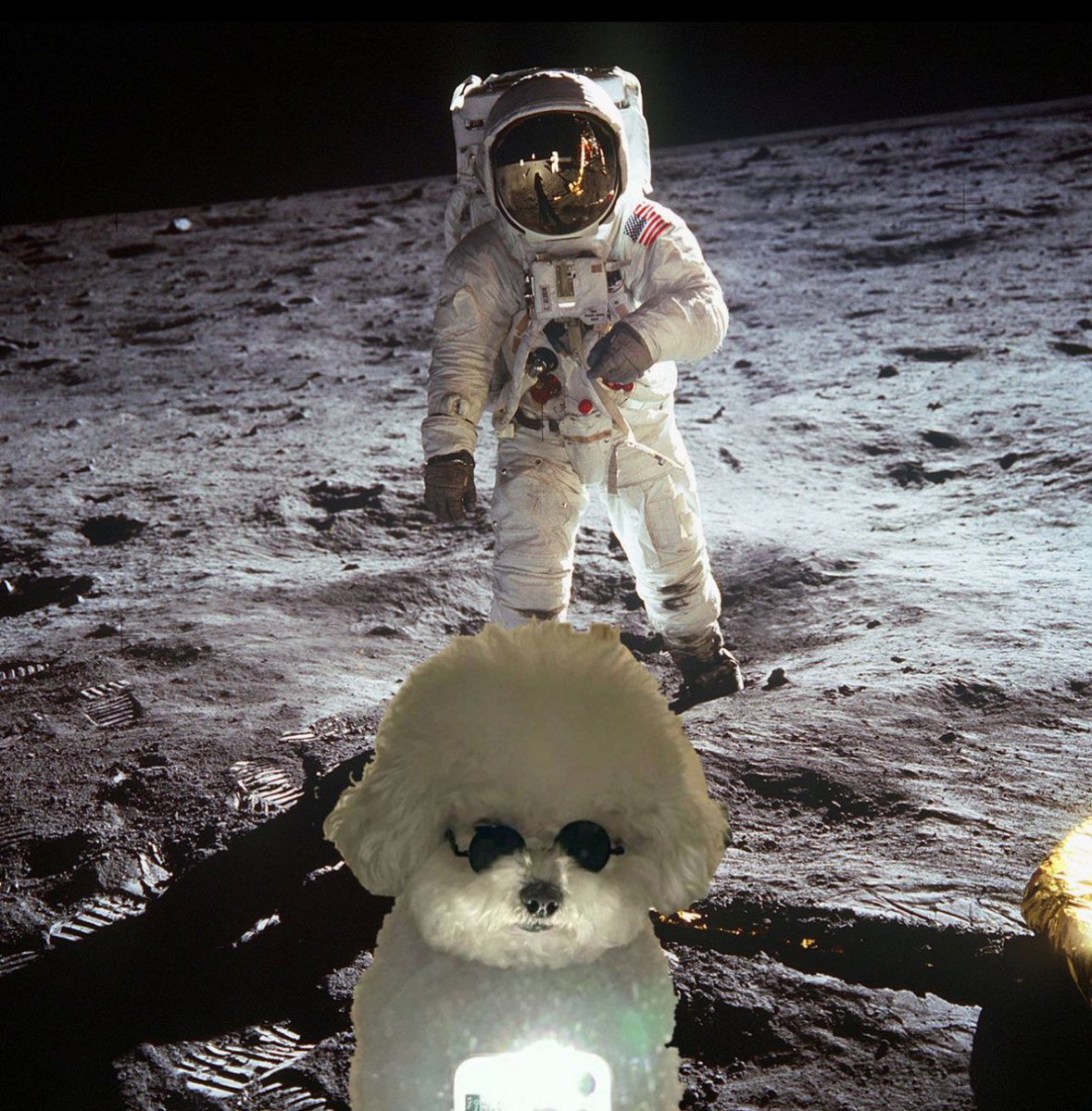 <a href="/mrpunkdoteth/">Mrpunk.eth</a> this is bros $HENRY 
we have a strong community, making memes, a great website, and marketing and influencer shill
t.me/henrydogcto henrydog.org