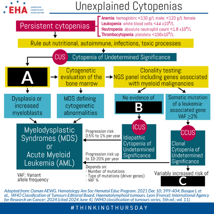 Thinking Thursday on unexplained cytopenia - European Hematology Association