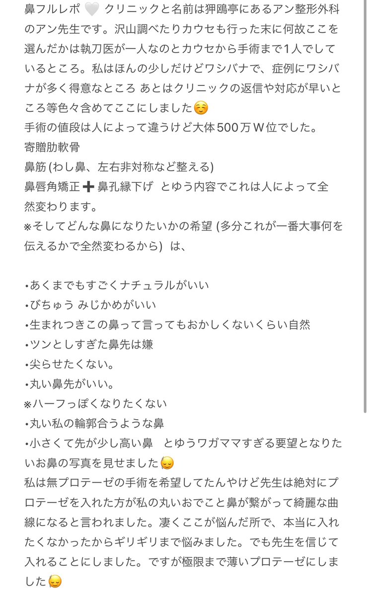 hima__xx3's tweet photo. 沢山質問を貰った鼻フルレポについてまとめました✍🏻 
#鼻フル #鼻整形 #鼻整形レポ #整形記録 #韓国鼻整形 https://t.co/pKnRP1uo2A
