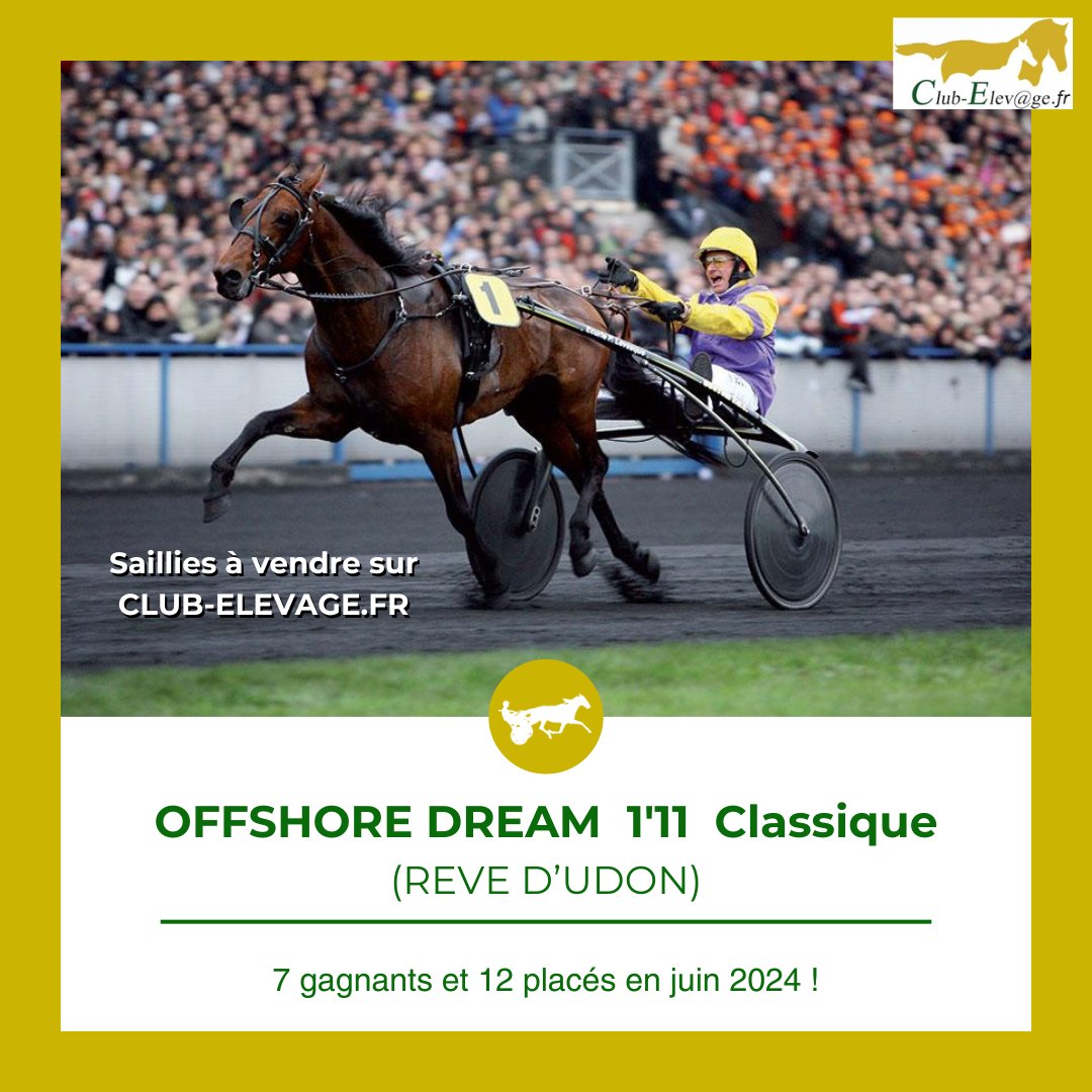 ClubElevage's tweet photo. 𝐎𝐅𝐅𝐒𝐇𝐎𝐑𝐄 𝐃𝐑𝐄𝐀𝐌 1'11 Classique (REVE D'UDON)

OFFSHORE DREAM (REVE D'UDON) a fait 7 gagnants et 12 placés depuis le début du mois de juin !

📝 Saillies à vendre : https://t.co/84nmE7fMP9

#clubelevagetrot #offshoredream #harasdupaysdauge https://t.co/J1iH4soa6f