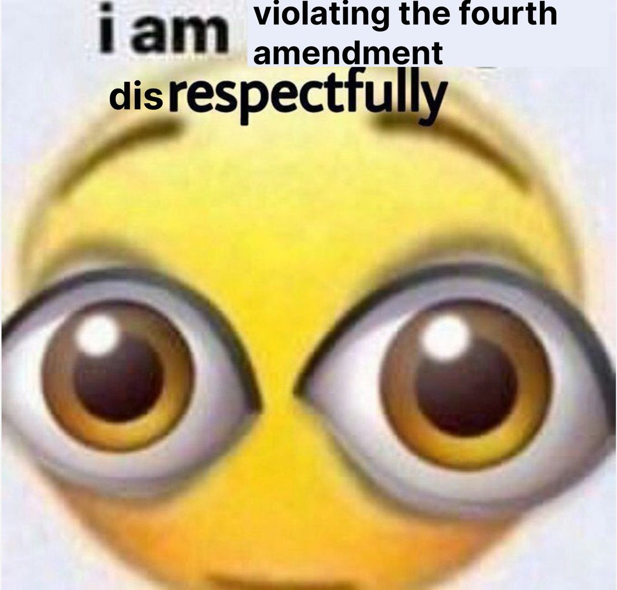 Tom Schmidt >|< tweet media