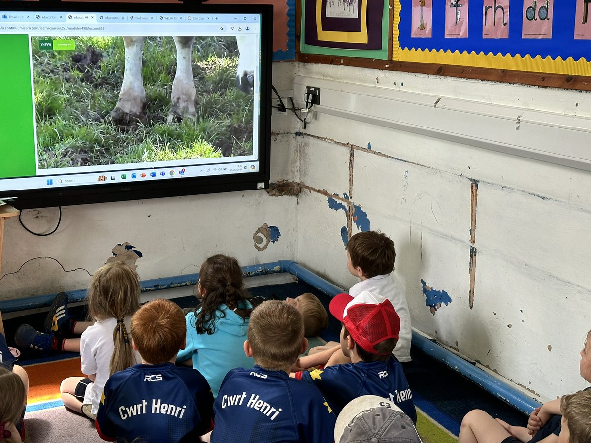 Ysgol Cwrt Henri tweet media