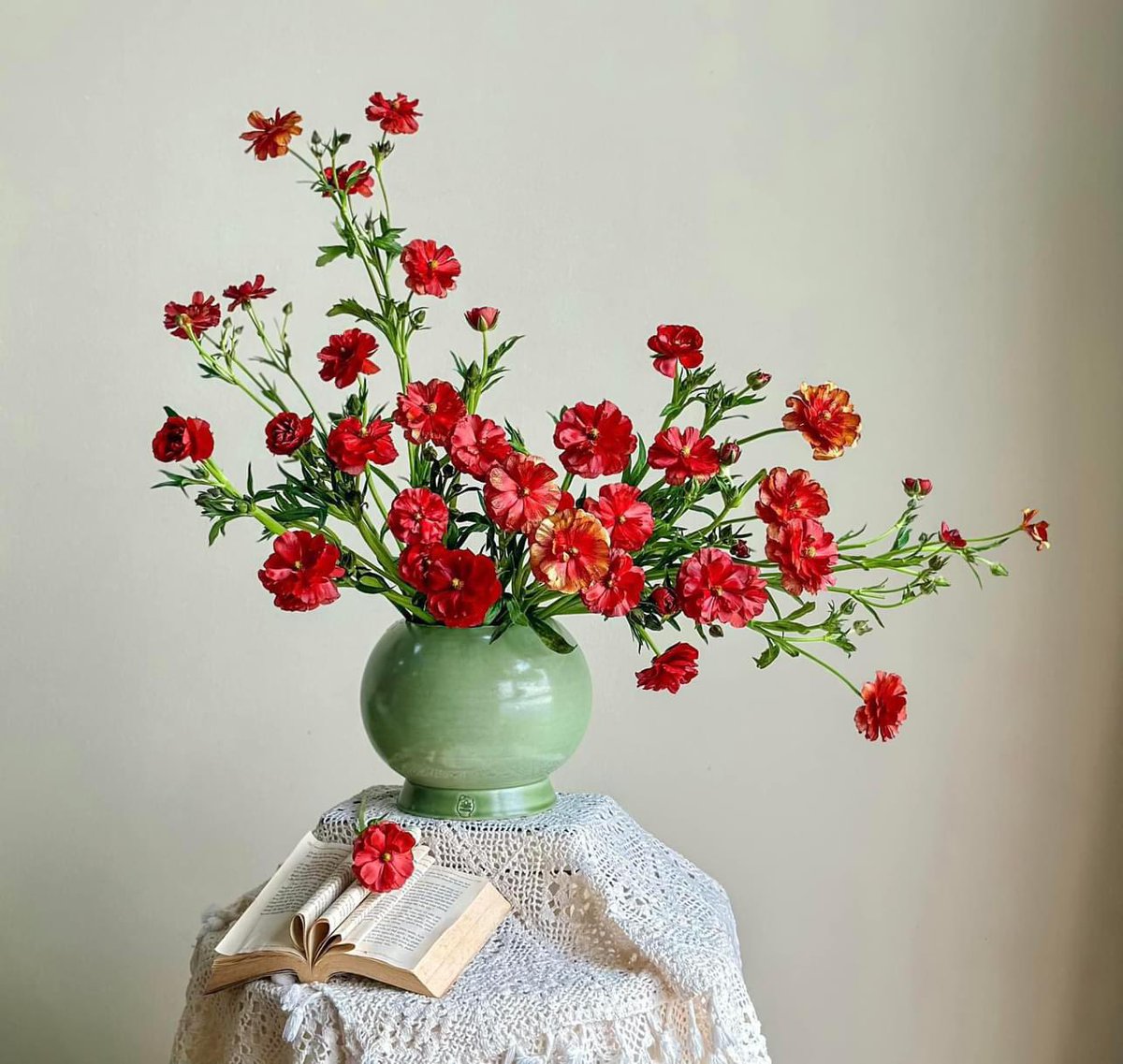 Snappinest tweet media