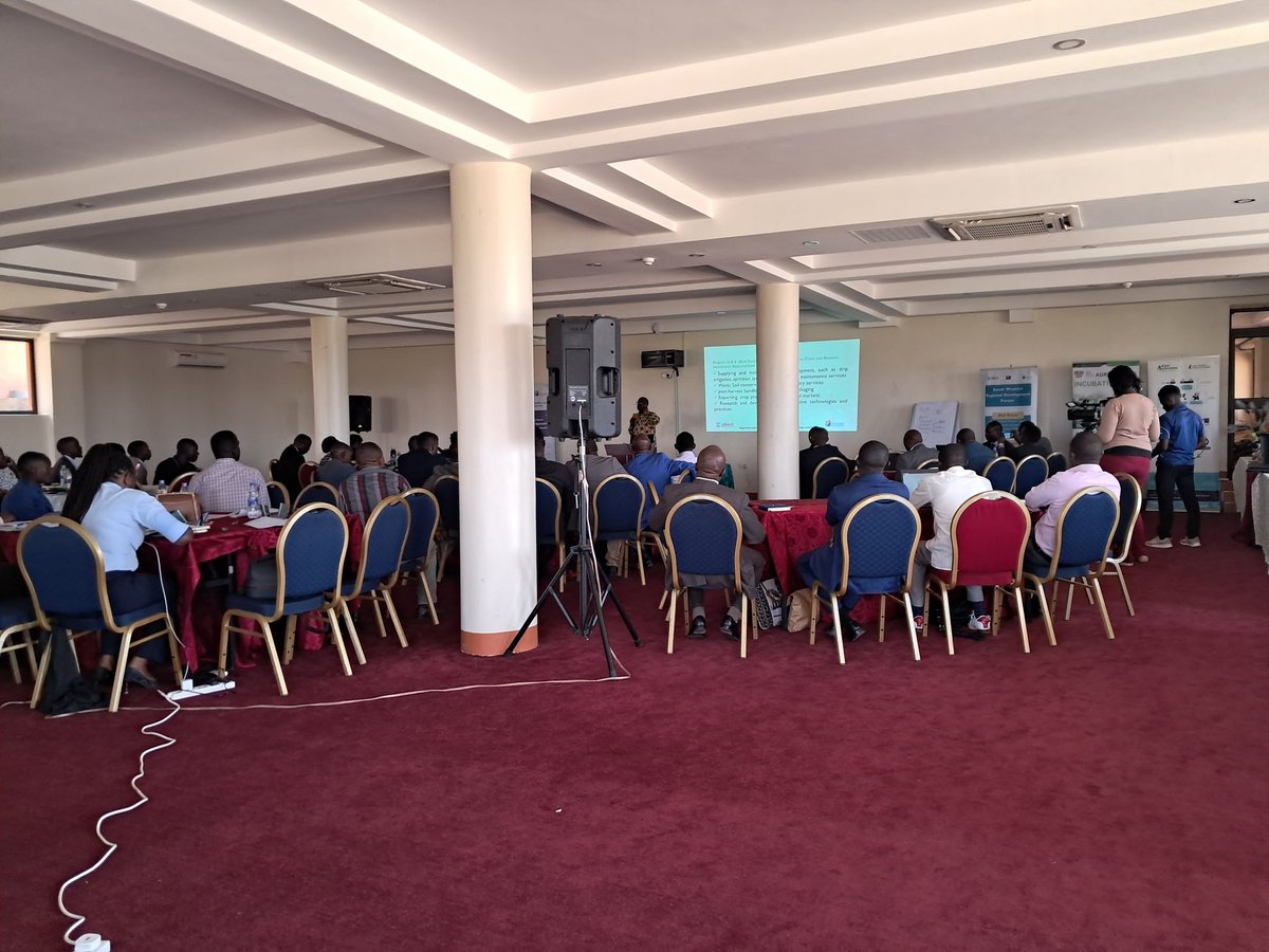 SWRDF_'s tweet photo. @regional_west has held a high-level round table meeting focused on enhancing private sector performance &amp; investments in Southwestern Uganda. We've had leaders from the private sector, academia, policymakers, &amp; investors to discuss key issues &amp; forge actionable solutions. https://t.co/ZntnDtxcIT