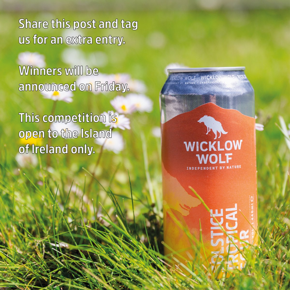 WWolfBrewery's tweet image. WIN A CASE OF SOLSTICE

To celebrate the Summer Solstice we're giving away a case of our Solstice Tropical Sour! Solstice is the perfect way to celebrate the longest day of the year.

To enter simply share this post &amp;amp; tag a friend below who you'd like to share this case with!