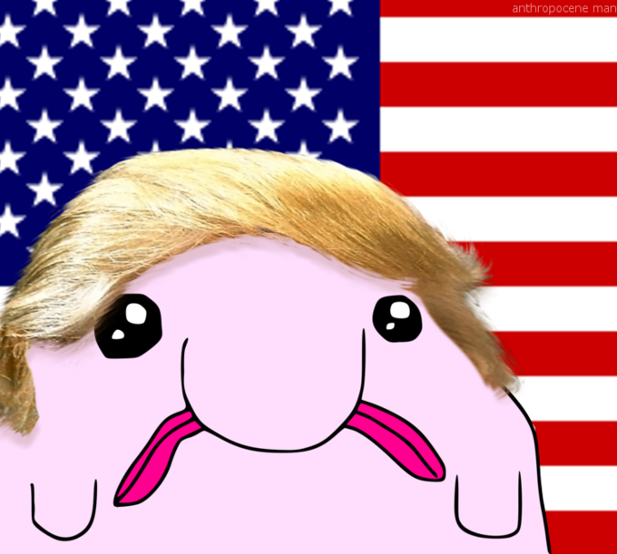 blobo_eth's tweet photo. Make $BLOBO great again.

@realDonaldTrump https://t.co/bj8BYjRqSZ