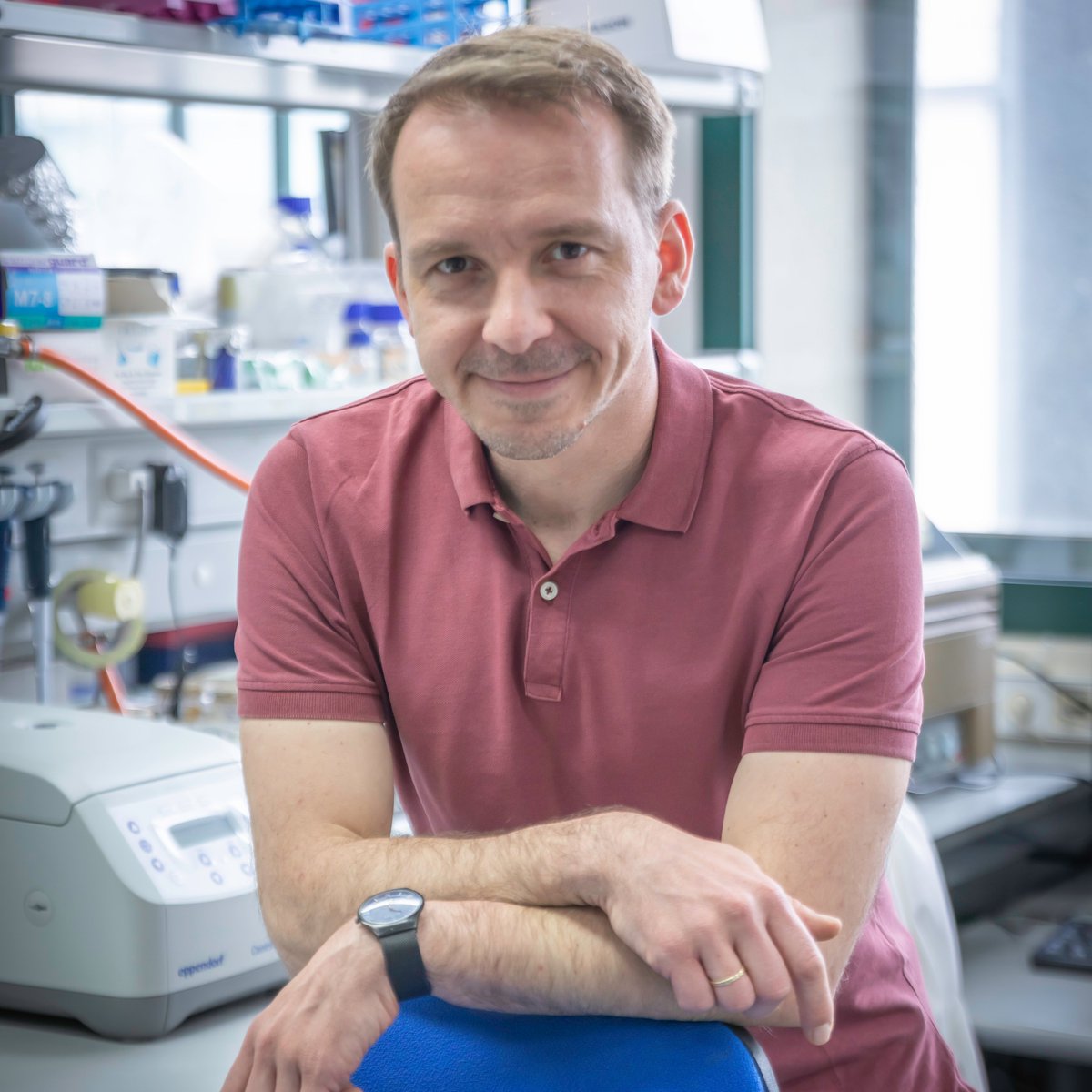 Centro Andaluz de Biología del Desarrollo tweet media