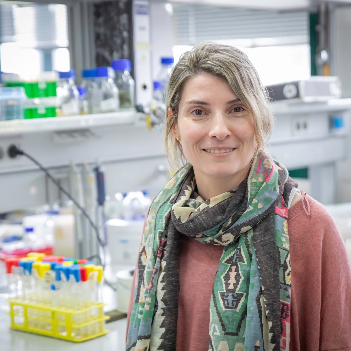 Centro Andaluz de Biología del Desarrollo tweet media