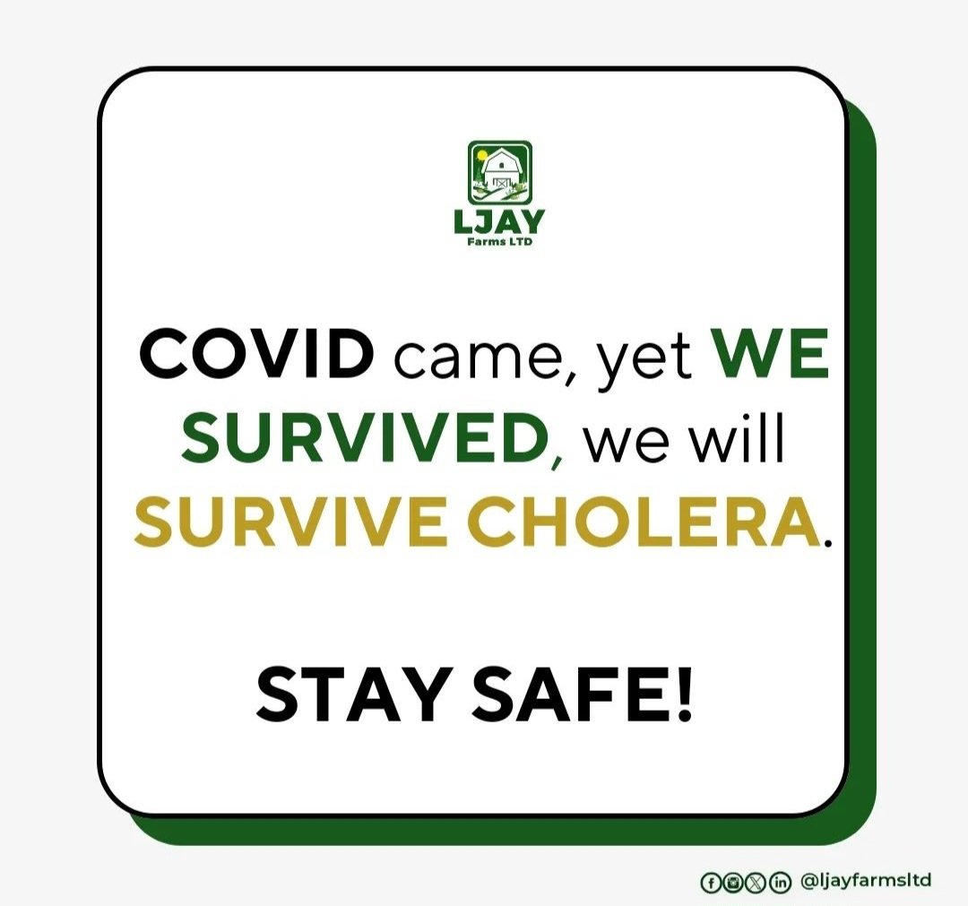 ljayfarmltd's tweet photo. In uncertain times, your health and safety are our top priorities. We know the thought of venturing out can be daunting, but we're here to reassure you - your well-being is our unwavering commitment. 

At LjayFarmsLtd, we refuse to compromise on quality. https://t.co/Yd2Wa8T3ko