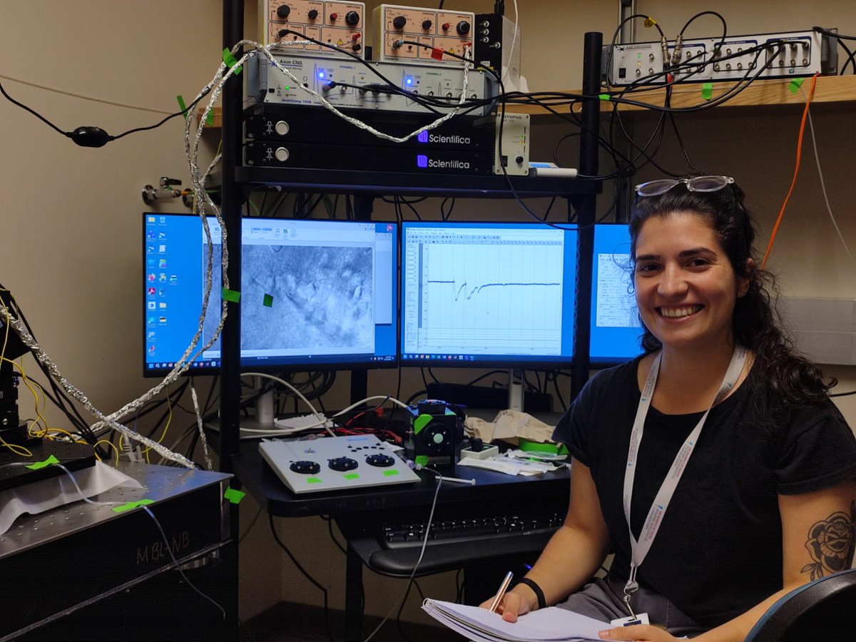 Instituto de Investigación en Biomedicina de BsAs (@ibioba_mpsp) on Twitter photo 📰 Noticias desde el hemisferio norte:
Giuliana Di Mauro, becaria doctoral en el área de neurociencia del Instituto, está en Woods Hole, Massachusetts, realizando el curso “Neurobiología: Mecanismos y enfoques avanzados” del <a href="/MBLScience/">Marine Biological Laboratory (MBL)</a>. 📰 Noticias desde el hemisferio norte:
Giuliana Di Mauro, becaria doctoral en el área de neurociencia del Instituto, está en Woods Hole, Massachusetts, realizando el curso “Neurobiología: Mecanismos y enfoques avanzados” del <a href="/MBLScience/">Marine Biological Laboratory (MBL)</a>.