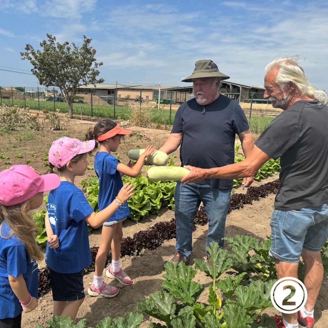 asvtweets's tweet photo. We love what our students learn when they have a field trip:
1️⃣+2️⃣ Kinder visiting the Planta i Cull School Farm in Alboraya.
3️⃣+4️⃣ See Grade 4 in an exciting field trip to the Albufera lake.
The adventure of learning begins at ASV!
🚌🎒 #ASVFieldTrips https://t.co/7Hp6oCiSVB