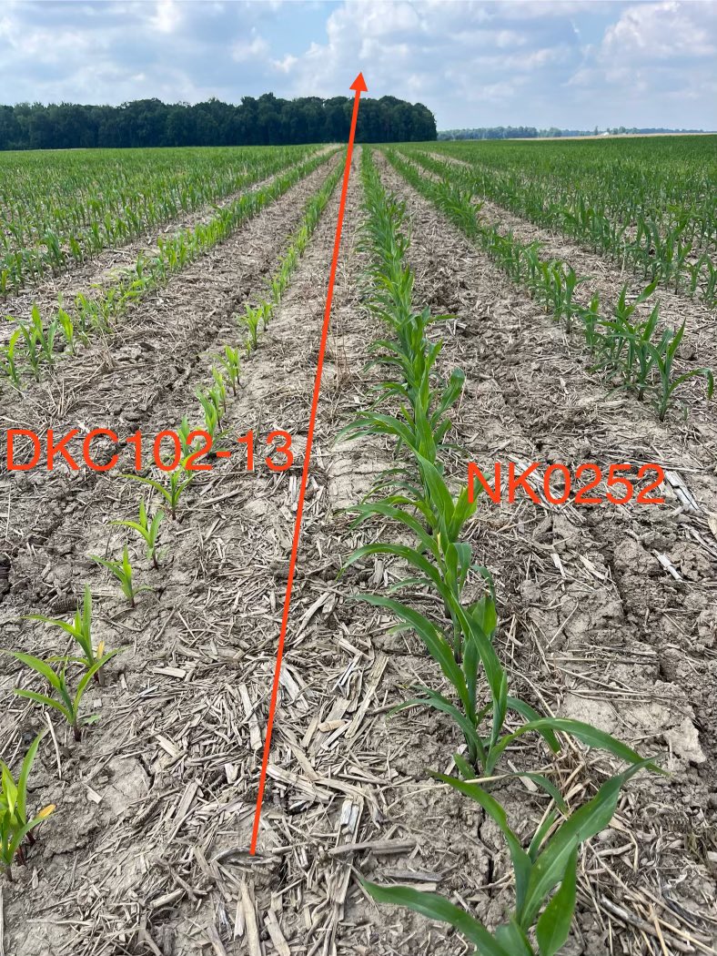 Luke Rivir tweet media