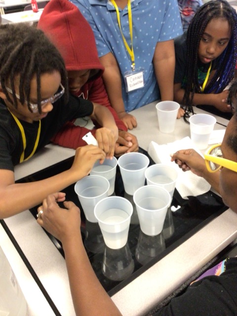 ramtechwssu's tweet photo. Fun and Learning are happening at RamTech! Exploring water pollution effects and take some time to play outside! @WSSUTeachEd @WSSURAMS https://t.co/cY9yslLBSS