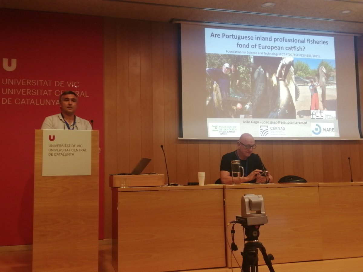 FishInvasionLab's tweet image. João Gago talking about commercial fishermen perceptions onvthe invasive catfish  #silurusglanis @sibic2024 #megapredator project @MAREscience