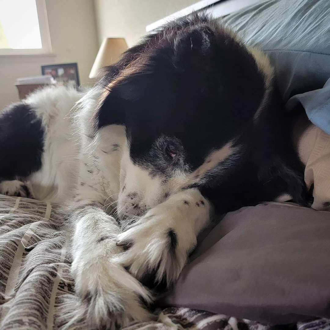 LanceBlizzGamer's tweet image. Sure, I'm ready to go.  Why do you ask? #DailyKaylee #NotReally