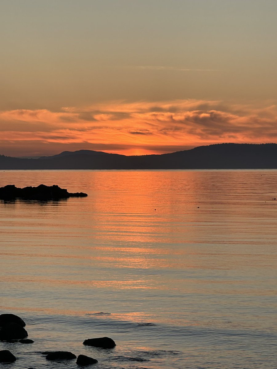 Jennifer Hale tweet media