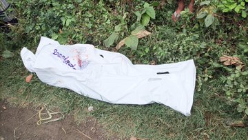 যশোরের শার্শায় পাট বোঝায় ট্রাকে পৃষ্ট হয়ে ভ্যান চালক নিহত